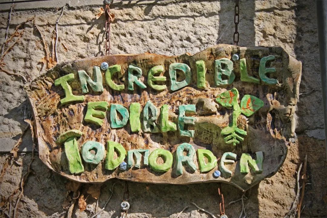 两个英国大妈开始“共享种菜”，整个小镇都成了她们的“菜园子”！